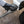 Detail Factory Fender Well Brush Grey bristle view 