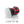 A red Detail Factory Curveball brush on a white background with the text 'Case of 12'.