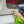 Koch-Chemie Eulex 1L Honda Civic Demo