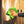 TRC Edgeless 245 16x16 Lime Green Example