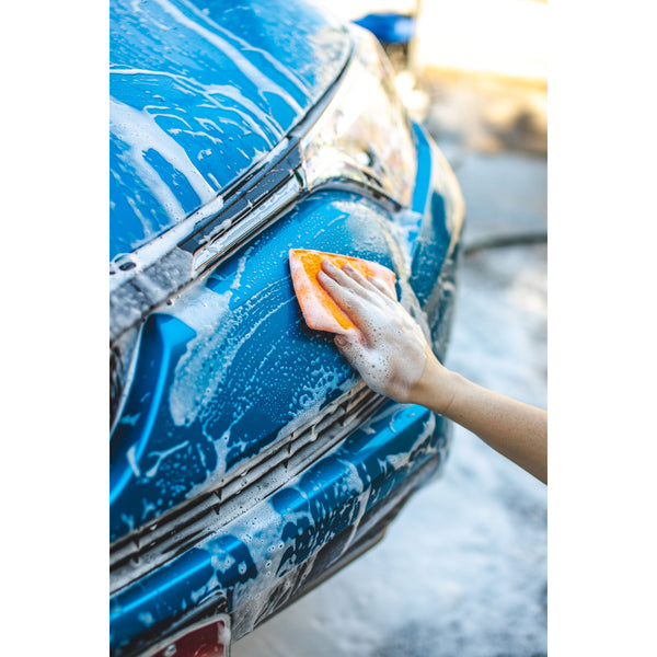 TRC Jersey Bug Scrubber Pad  Orange Example